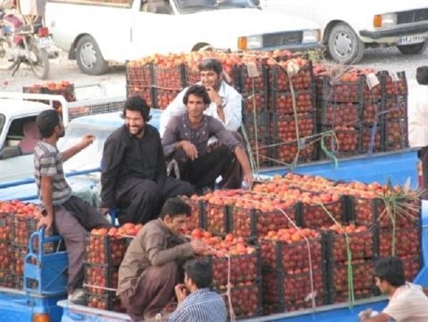میدان میوه و تره بار سراوان زیر ذره‌بین بازرسین قرار گرفت/ فروش گوجه فرنگی با سود ۳۵ درصد
