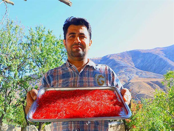 پای طلای سرخ به دهستان گیفان رسید
