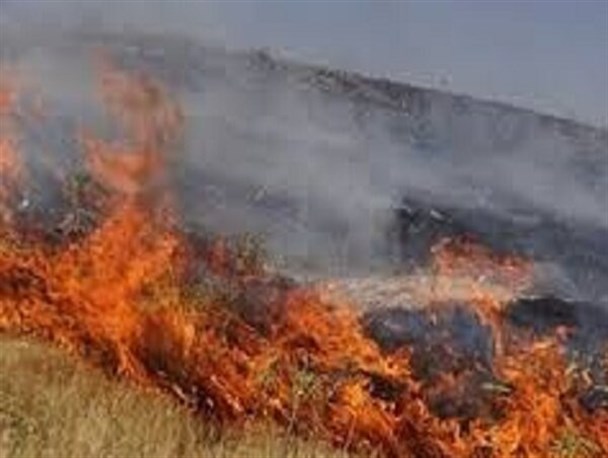 آتش سوزی جنگل های توسکستان به روز پنجم رسید/وزش باد باعث شعله ورشدن دوباره آتش