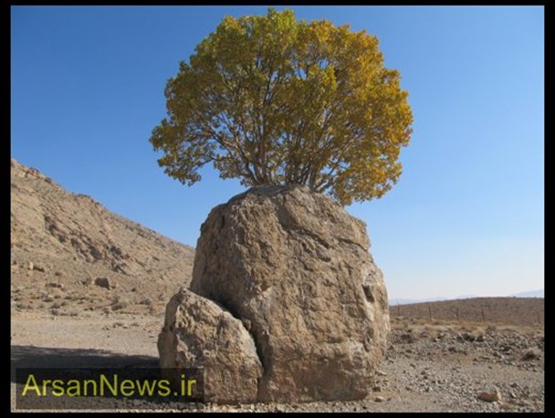 گزارش تصویری/ بازی طبیعت ارسنجان با رنگ ها در آخرین ماه پاییز