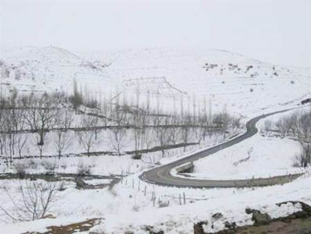 بارش برف چهره کارزان را سفید پوش کرد
