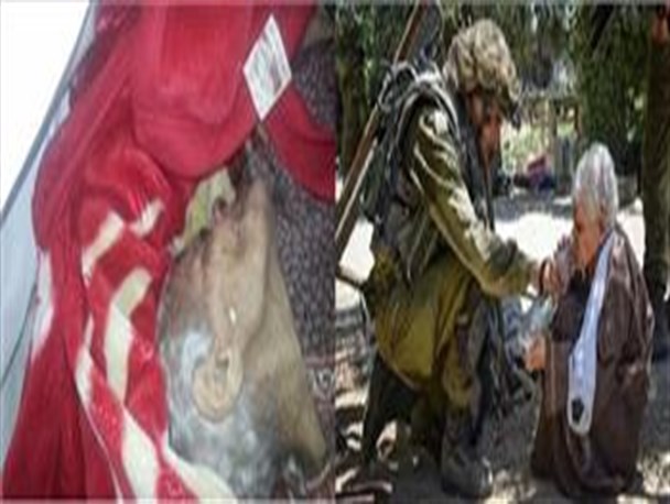 دروغ پردازی ارتش رژیم اشغالگر قدس برملا شد/پیرزن را آب دادند تا بکشند!+تصویر