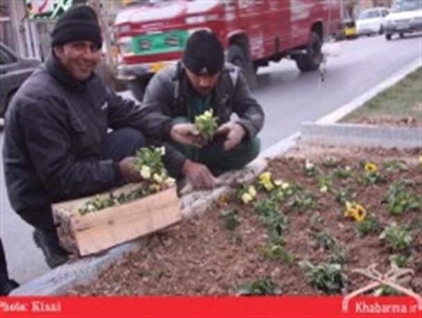 گزارش تصویری / درختکاری بلوارهای دولت آباد