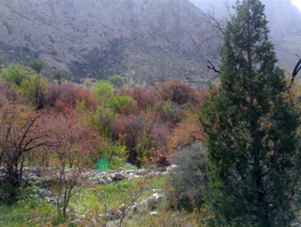 روستای بخوان خوش آب و هوا ترین و جذاب ترین روستای حاجی آباد است