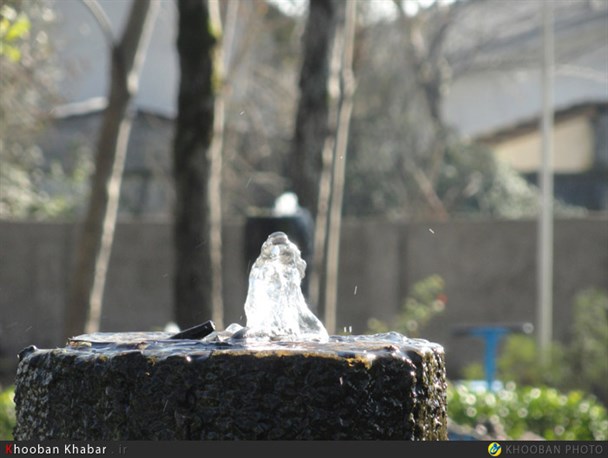 پارک سردار جنگل خمام در یک روز آفتابی زمستان