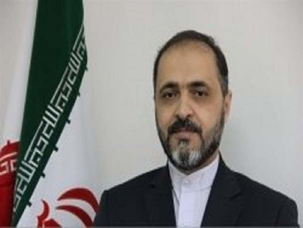 هدف اساسی سعودی ها ایجاد تفرقه است/شهادت شیخ نمر بزرگترین شاهد بر وحشی‌گری آل سعود است