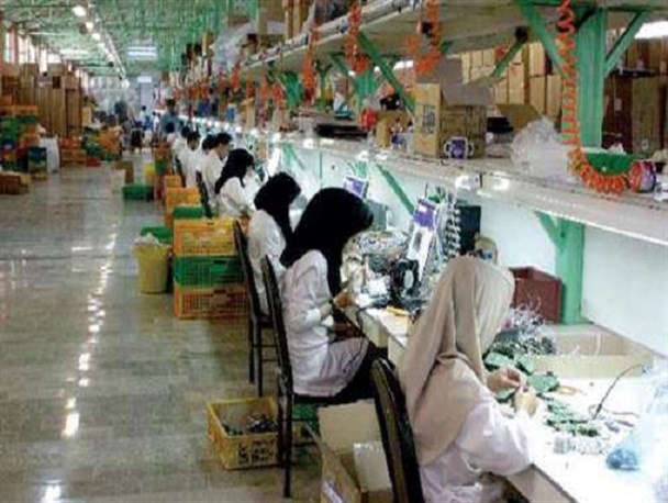 سهم ۱۱ درصدی بانوان زنجانی در تشکیل تعاونی ها/ زنان عضو تعاونی رضایت بیشتری از زندگی دارند