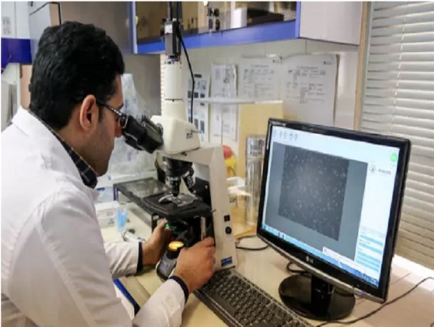 جدیدترین جایگاه علمی ایران در دنیا و منطقه/ رشد کیفی ادامه دارد