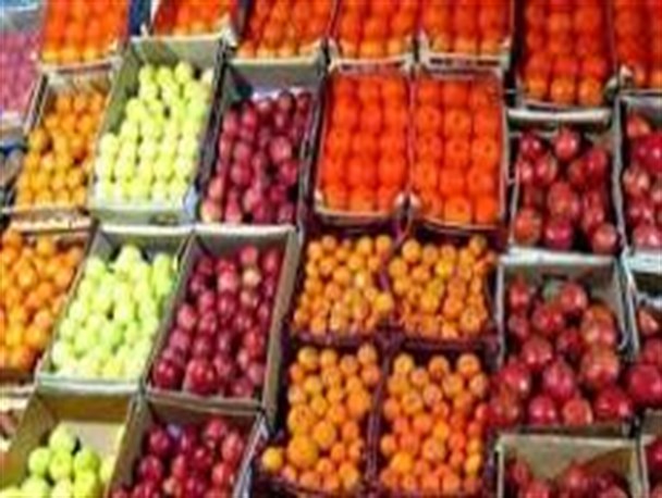 هزار تن میوه شب عید برای خراسان جنوبی در نظر گرفته شده است