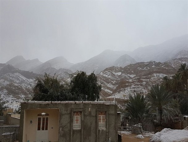 گزارش تصویری/ روستای دهوک دشتی سفید پوش شد