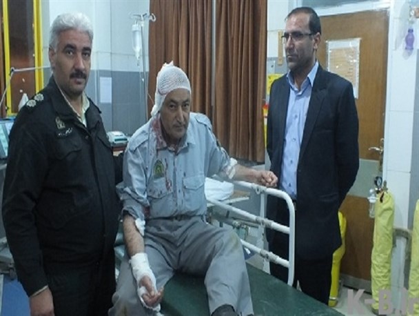 تخریب منابع جنگلی / وقتی اقتدار جنگلبانی در سایه ادغام وزارتخانه رنگ می بازد!