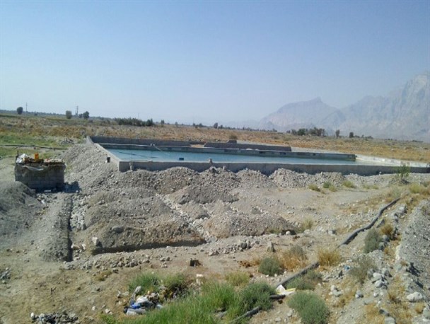 خودباوری حلقه گمشده کارآفرینان روستاییگسترش کارآفرینی نیازمند حمایت مالی دولت است