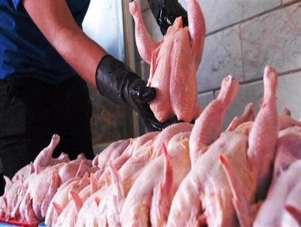 تولید بیش از 3400 تن گوشت از 60 واحد مرغداری در بجستان