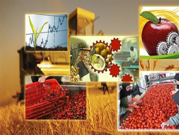 ارائه ۱۰۰۰ میلیارد ریال تسهیلات برای واحدهای صنایع تبدیلی در استان زنجان