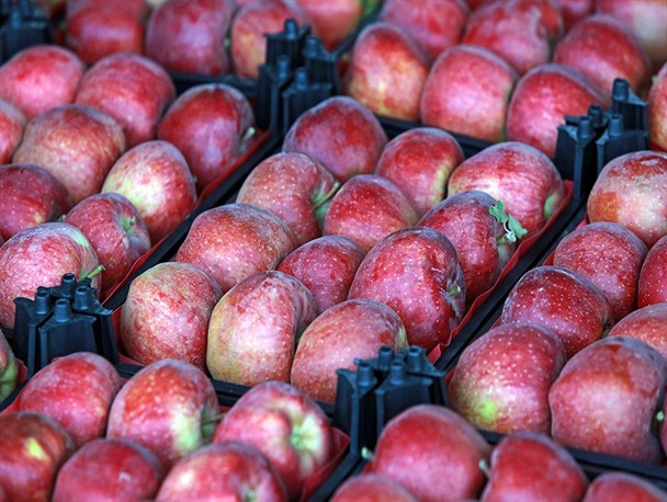 نحوه عرضه میوه شب عید امسال اعلام شد/ احتمال واردات میوه لوکس در شب عید!