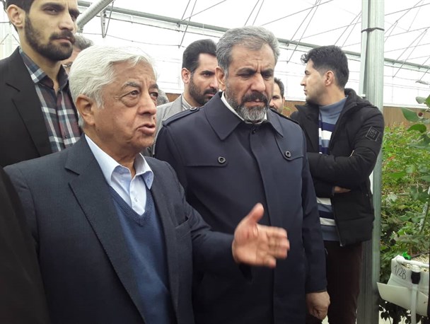 ایجاد بیش از سه هزار شغل با افتتاح ۹۸ طرح کشاورزی در قزوین