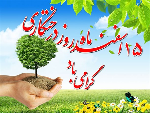 درختکاری و احسان؛ دو سنت زیبا برای حفظ انسانیت