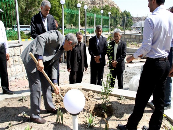 کاشت نهال توسط رییس سازمان بازنشستگی نیروهای مسلح کل کشور در بندرعباس+تصویر