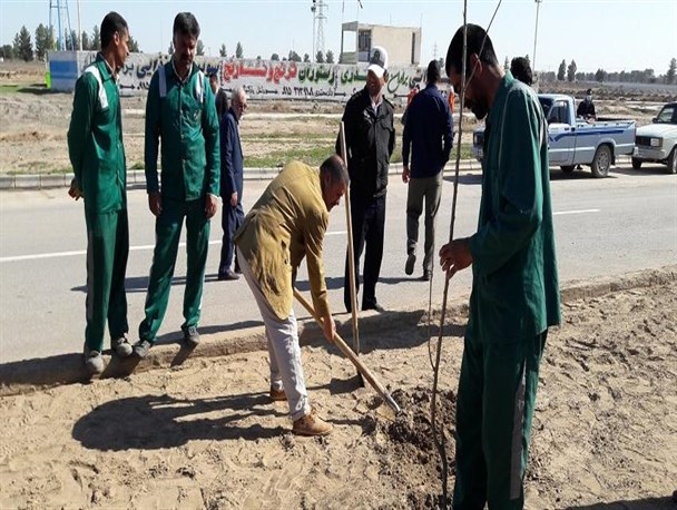 غرس ۱۳۶ اصله درخت در شهر مرزی سرخس