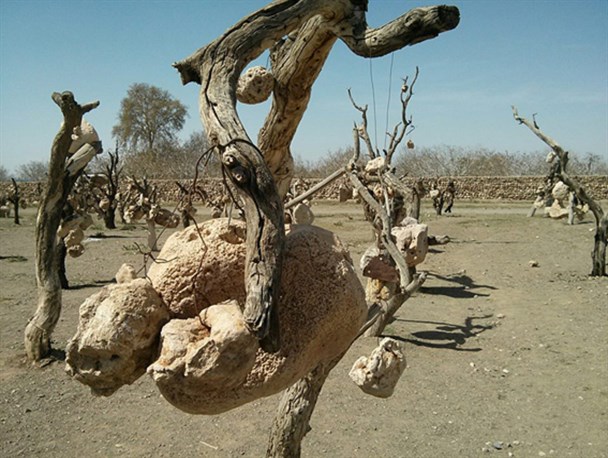شاخ و برگهای سنگی، شاهکار درویش خان