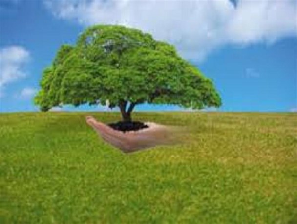 تهدیدات  حوزه منابع طبیعی جدی گرفته شود