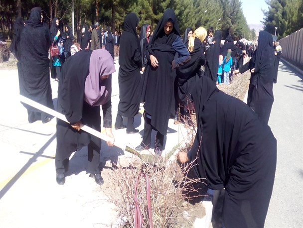 نهال کاری بانوان بیرجندی در روز درختکاری