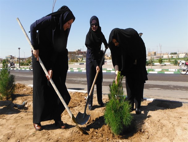 مراسم درختکاری در تایباد