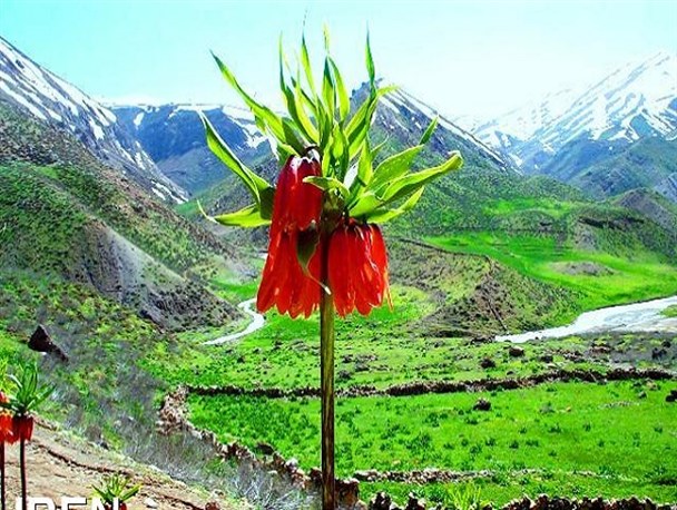 اینجا دیگر گیاهی نمی روید!