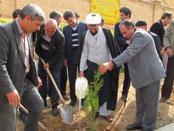 کاشت نهال به یاد شهدا در ماهنشان/مراسم نمادین درختکاری در ماهنشان برگزارشد +تصاویر