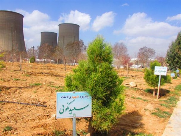غرس 600 اصله نهال غیر مثمر در نیروگاه شازند
