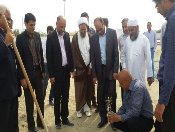 سه هزار اصل نهال در سیریک توزیع رایگان شد+ تصویر