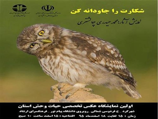 نمایشگاه عکس محیط زیست در شهرکرد برپا شد