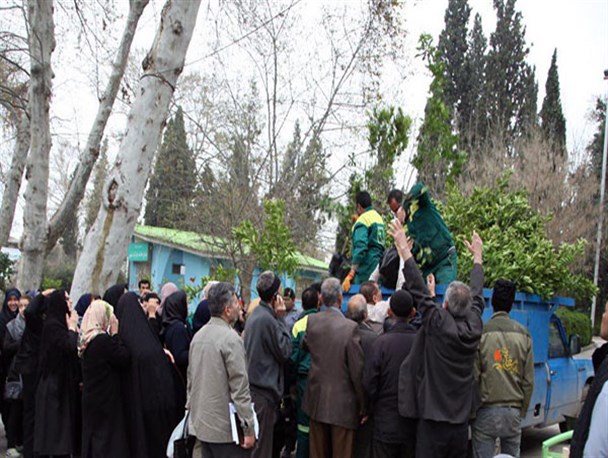 روز درختکاری بهانه ای برای مبارزه با جنگل خواری در گرگان و گلستان+مکان های توزیع رایگان نهال