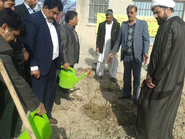 کاشت نهال توسط مسئولین شهرستان نیمروز+ تصاویر