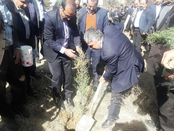 غرس نهال توسط مسئولان استانی در گلزار شهدای یاسوج + تصاویر