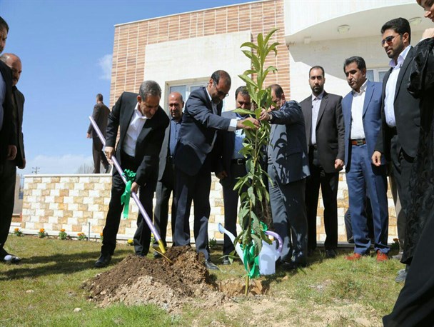 کاشت نهال توسط معاون اول رئیس جمهور در یاسوج