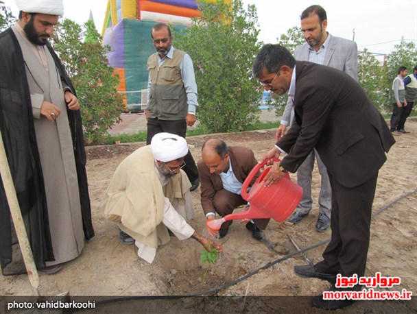 مراسم روز درختکاری در پارک جنگلی بندرکنگ برگزار شد+ تصاویر
