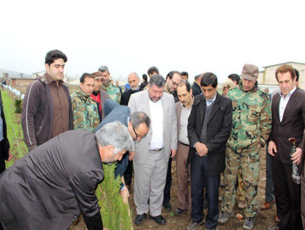 کاشت ۵۰۰ درخت در دانشگاه آزاد آزادشهر به مناسبت هفته درختکاری