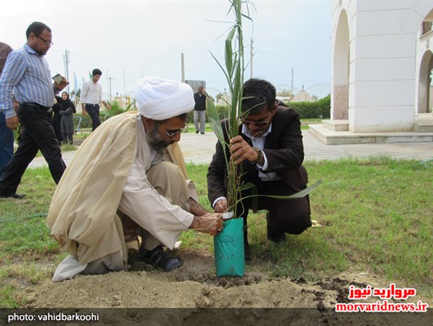 کاشت ۴۶ اصل نهال نخل در دانشگاه آزاد اسلامی واحد بندرلنگه+ تصاویر