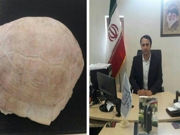کشف فسیل لاک پشت در شهرستان نیر / بناهای تاریخی نیر نیاز مبرم به مرمت دارند