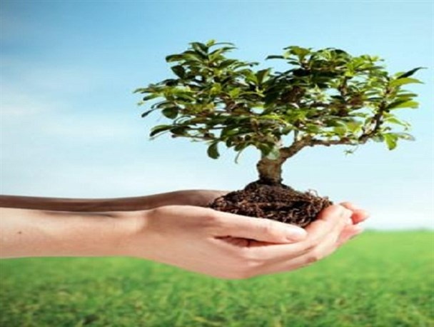 فرهنگ درختکاری فرهنگی ارزشمند در تمام جوامع است