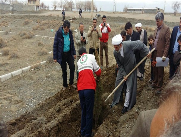 بزرگداشت روز درختکاری در جغتای