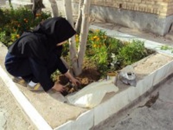 نهادینه کردن فرهنگ کاشت درخت در بین دانش‌آموزان الزامی‌ست