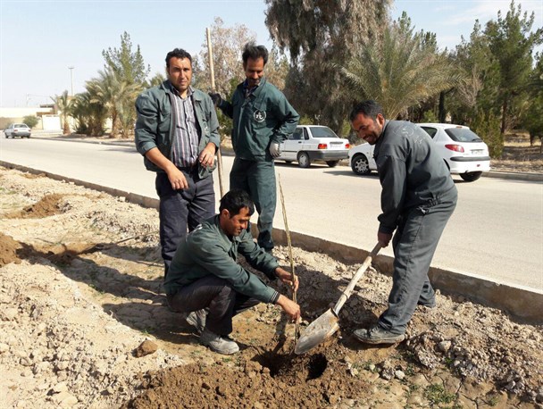 گزارش تصویری/ روز درختکاری در طبس