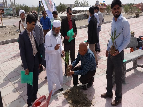 کاشت نهال در سیریک با حضور مسئولان آغاز شد+ تصاویر