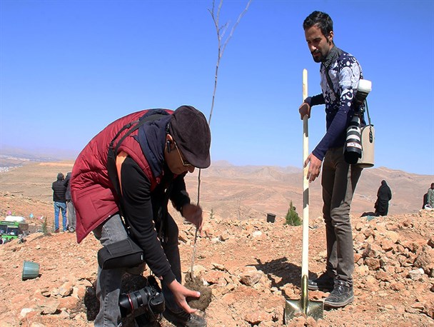 کاشت نهال توسط دوستداران طبیعت در ارتفاعات شیراز