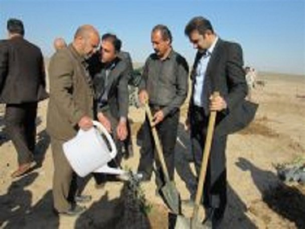 کاشت درخت یک گنج بی بدیل در کشور است