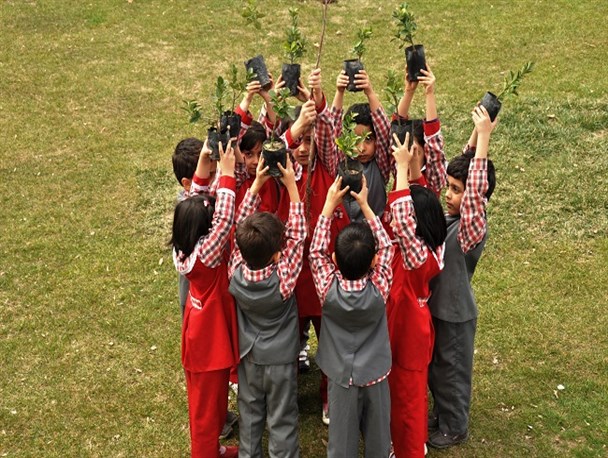 بی مهری ما با درختان و آثار آن برای آیندگان