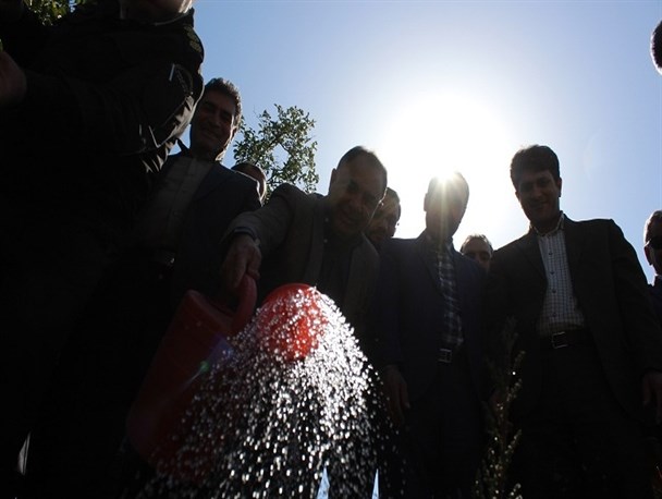 درخت کاری در ممسنی به ثمر نمی رسد+تصویر