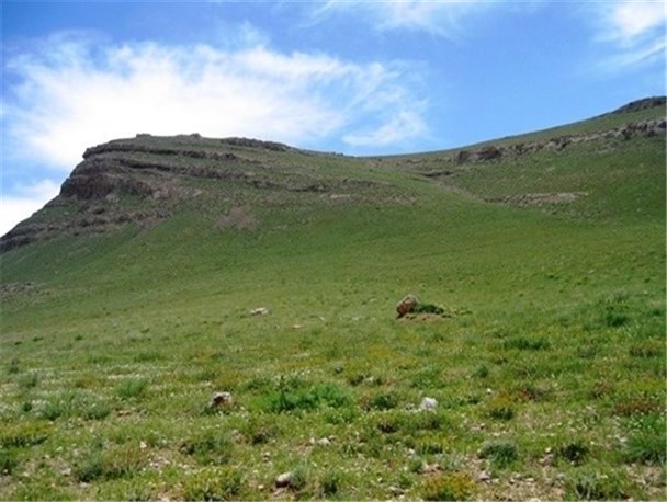 از بی‌تدبیری مسئولین تا بی‌مرتعی اهالی روستای خیرآباد درگز